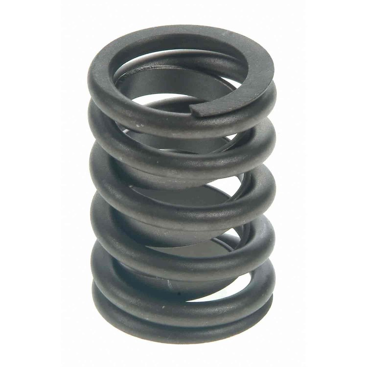 Valve Spring