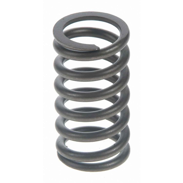 Valve Spring