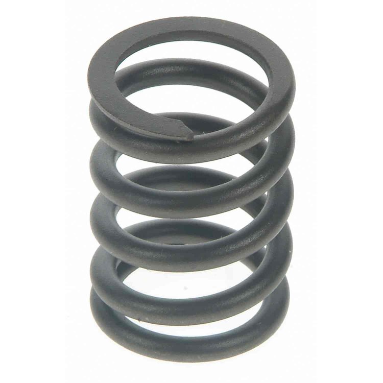 Valve Spring