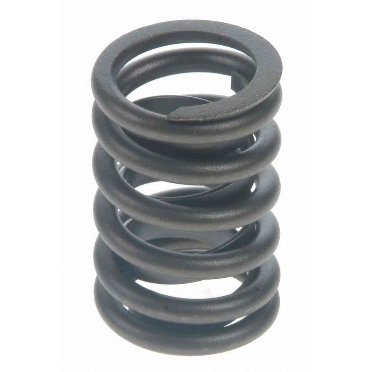 Valve Spring