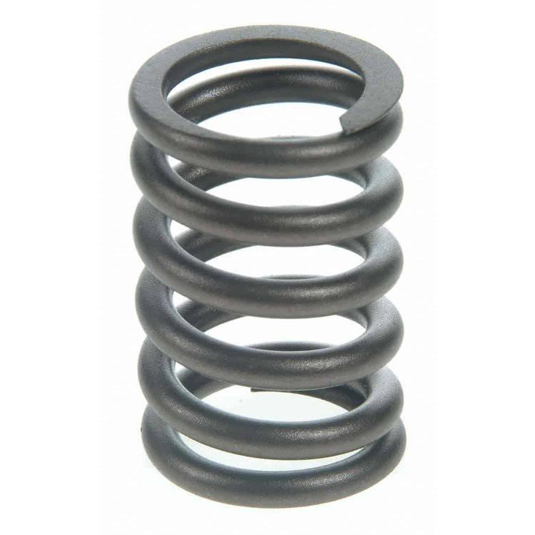 Valve Spring