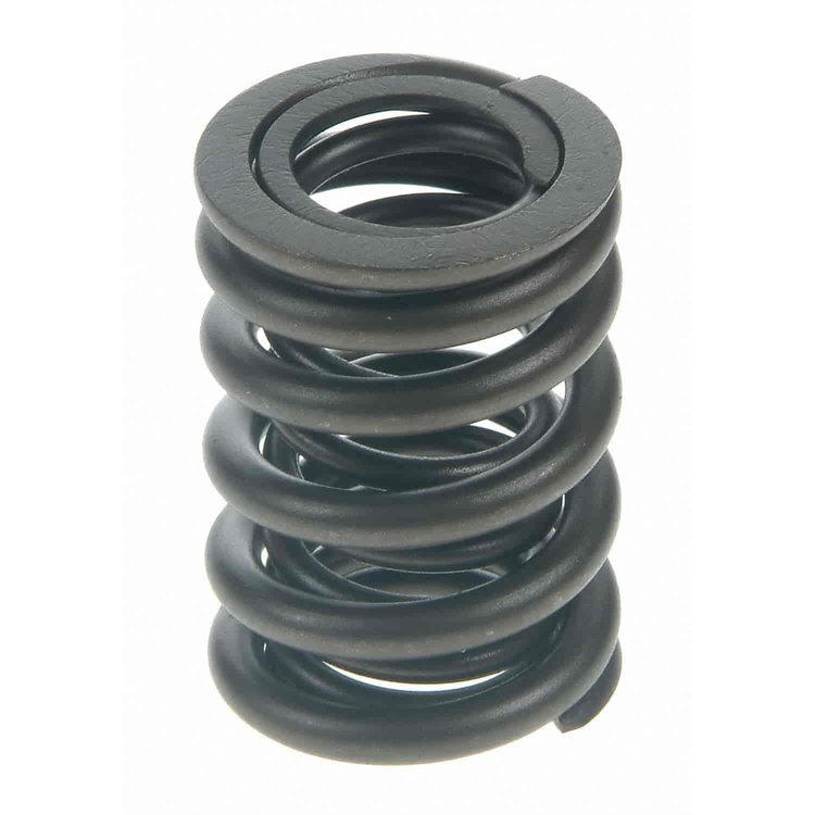 Valve Spring
