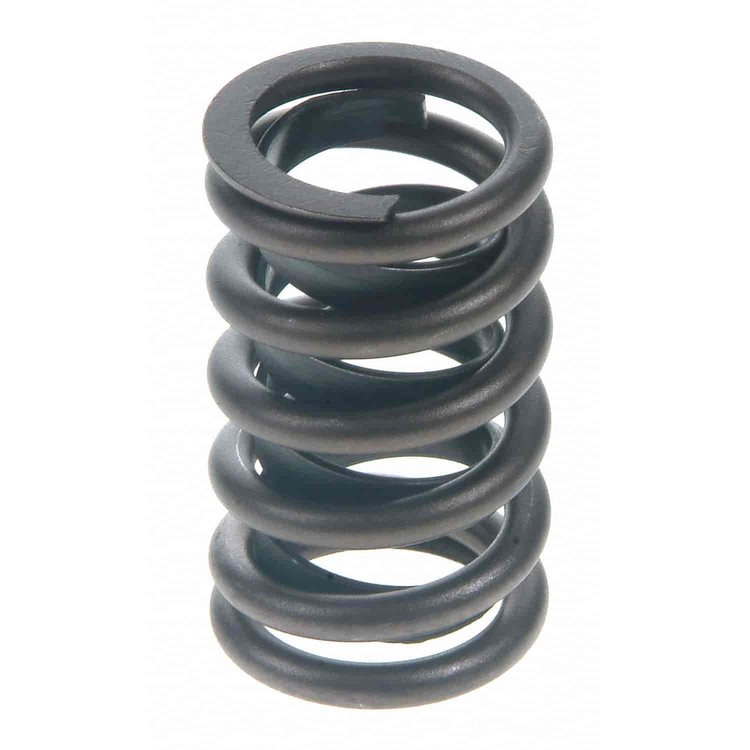 Valve Spring