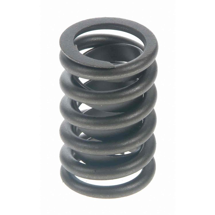 Valve Spring