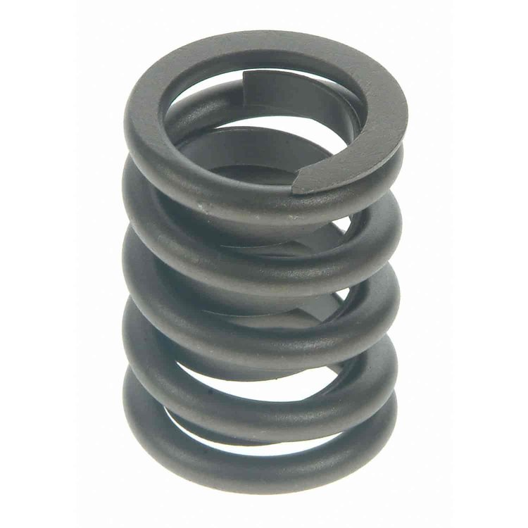Valve Spring