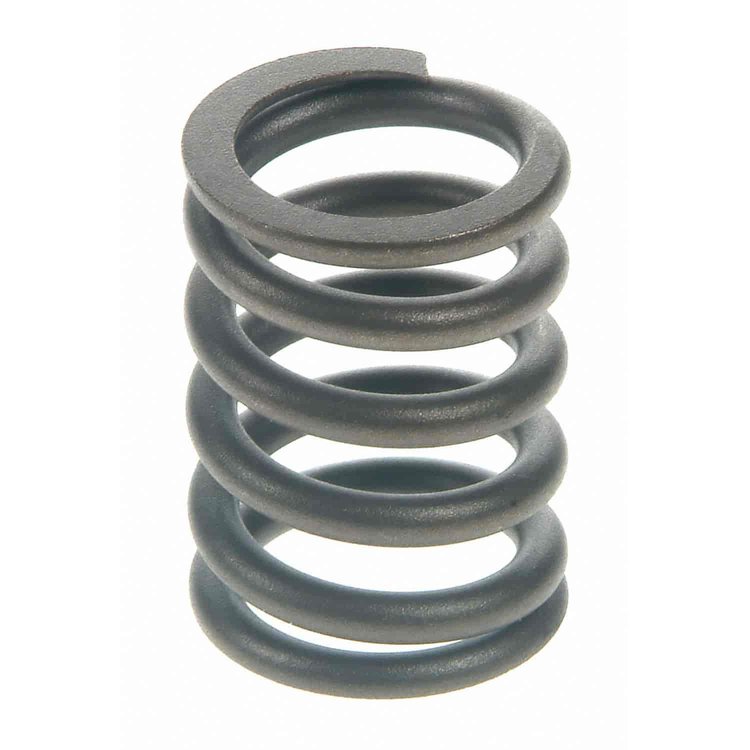 Valve Spring