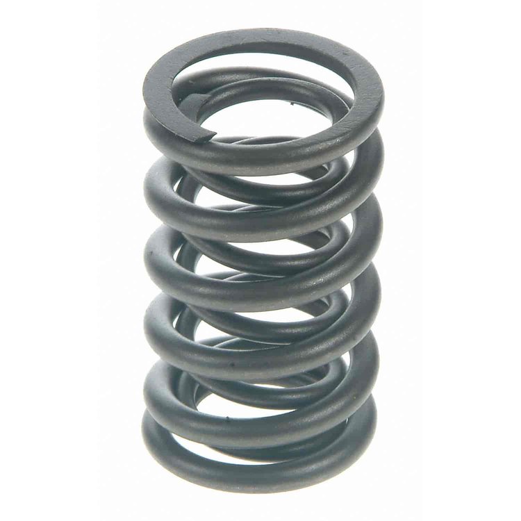 Valve Spring