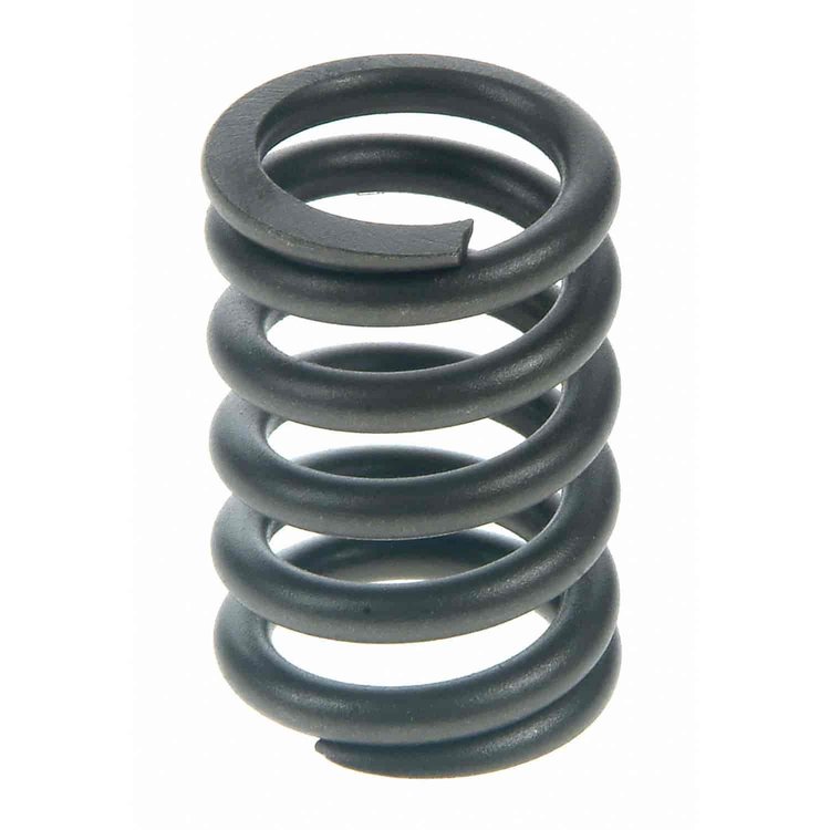 Valve Spring