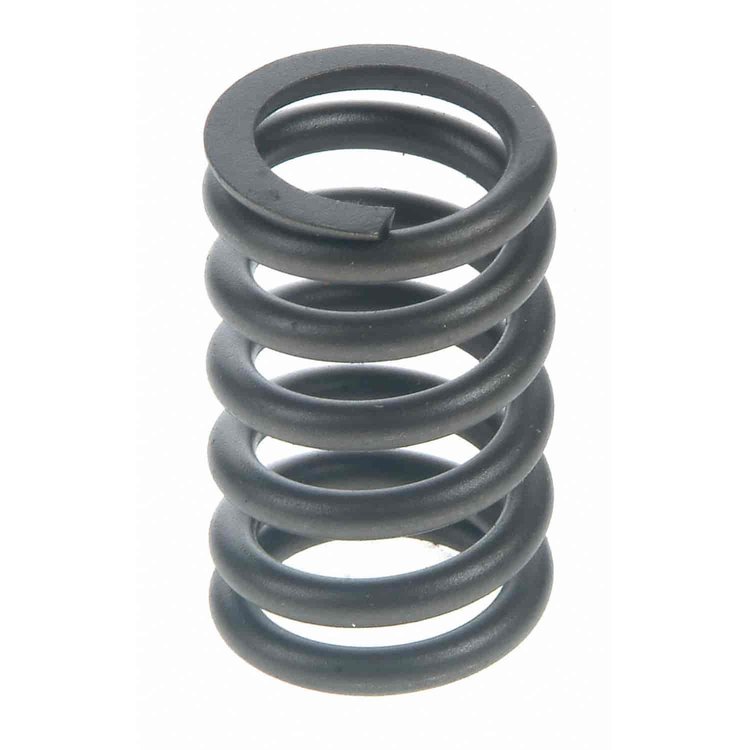 Valve Spring
