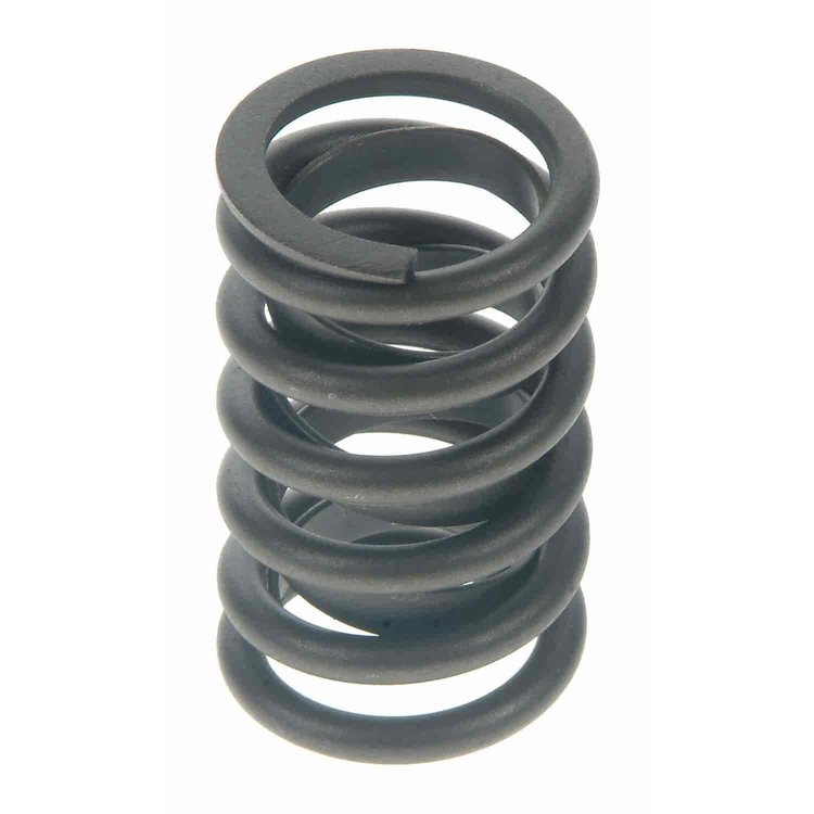 Valve Spring
