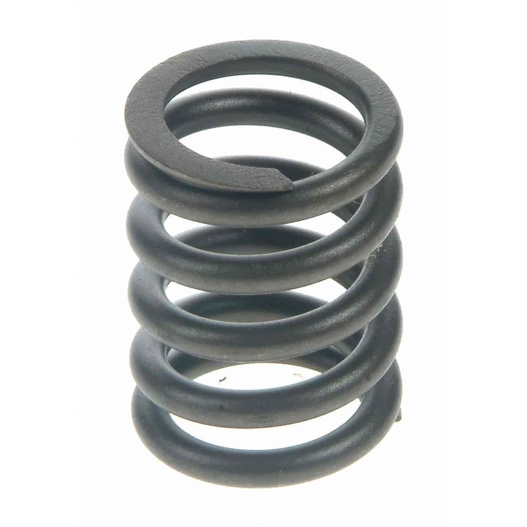 Valve Spring