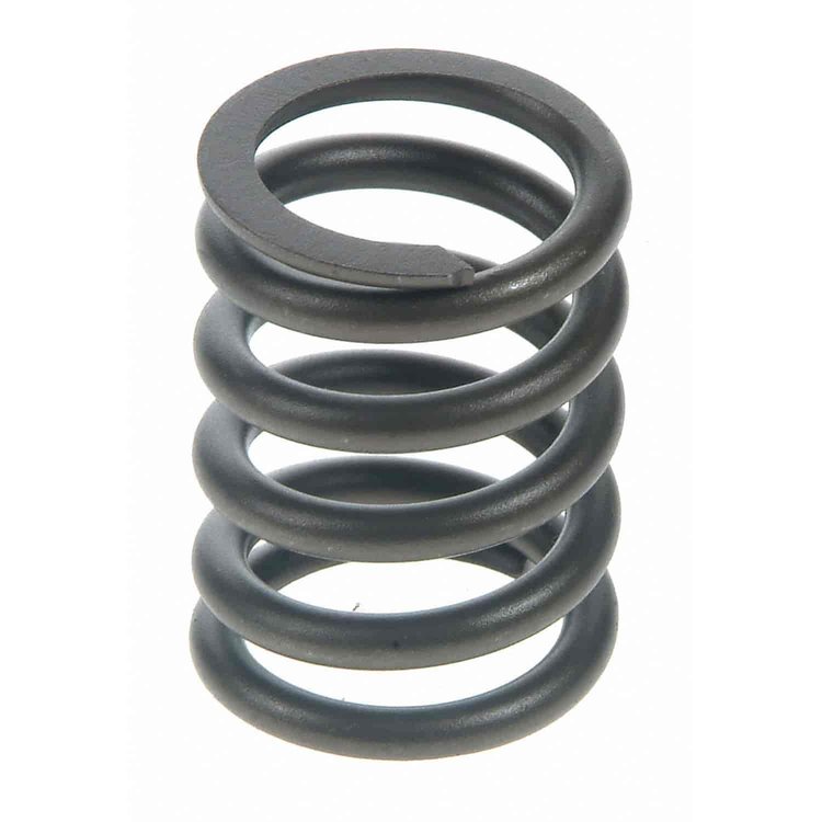 Valve Spring