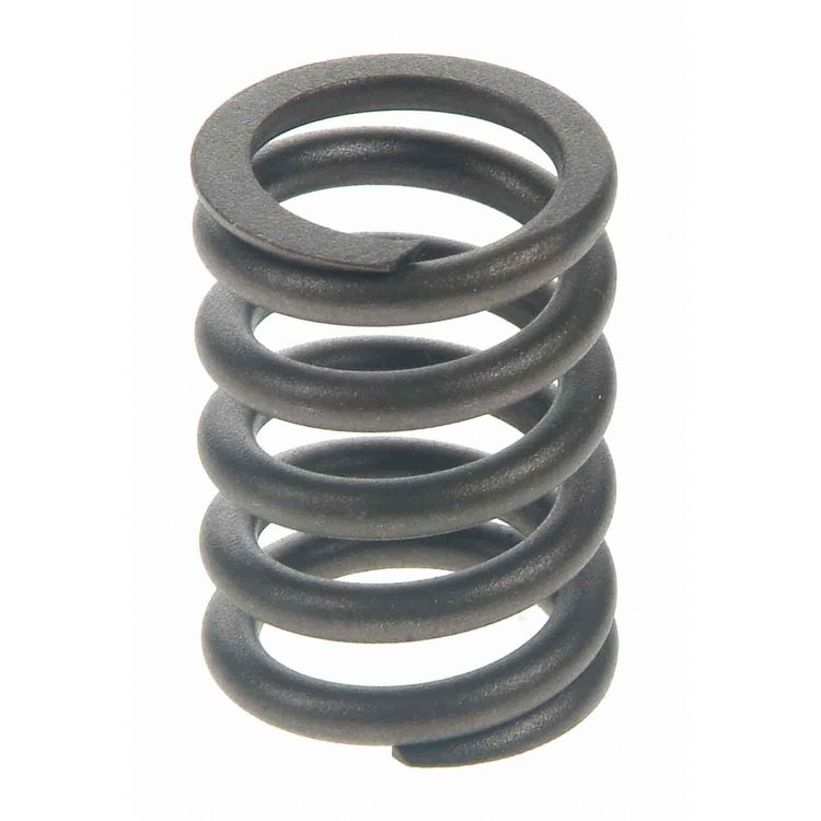 Valve Spring