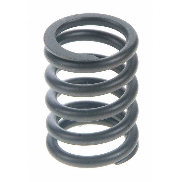 Valve Spring