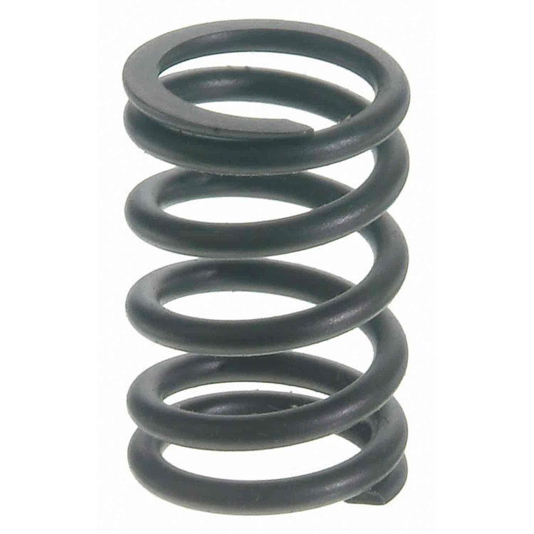 Valve Spring
