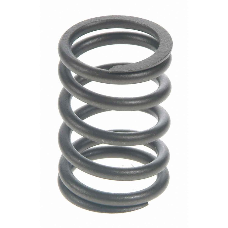 Valve Spring