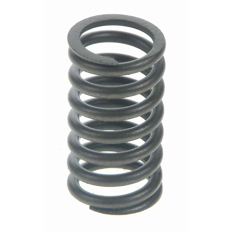 Valve Spring