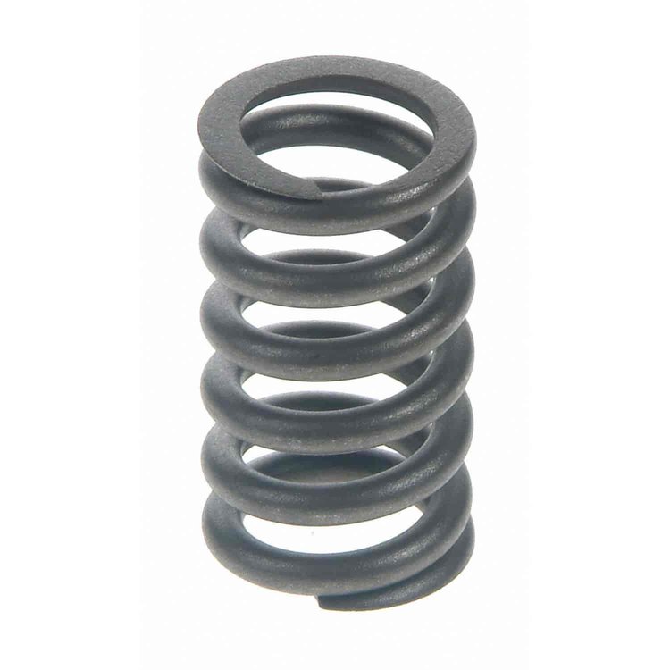 Valve Spring