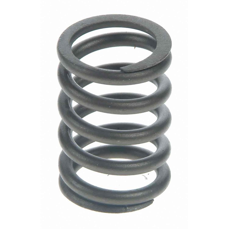 Valve Spring