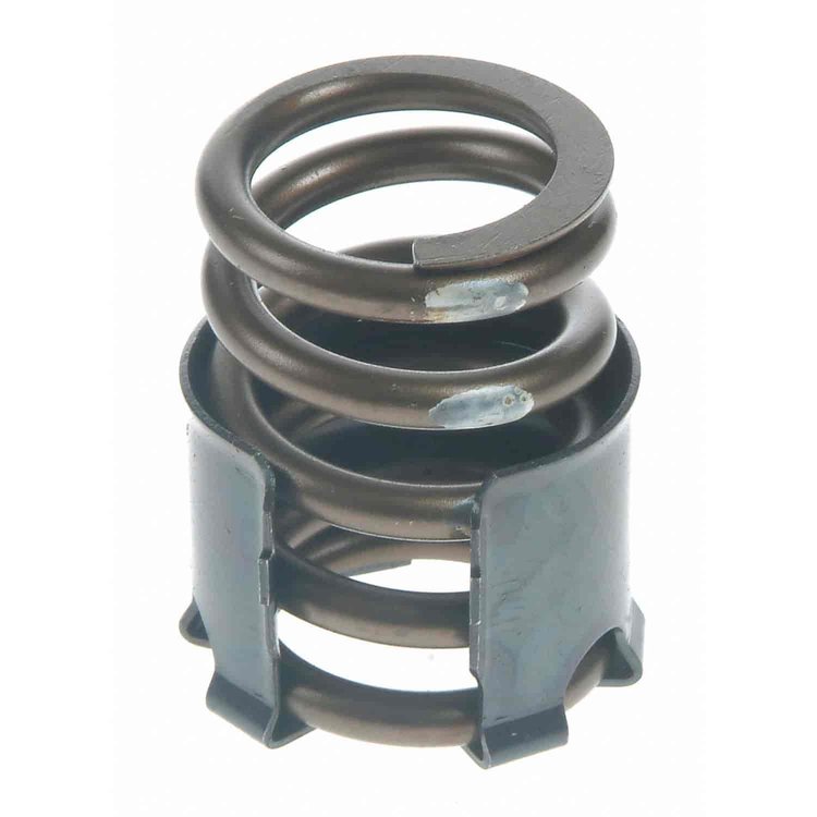 Valve Spring