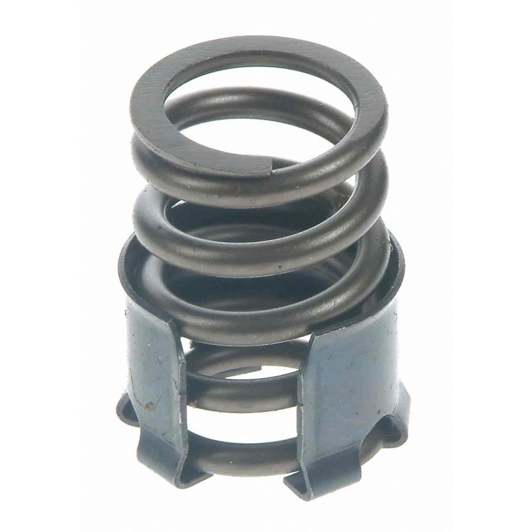 Valve Spring