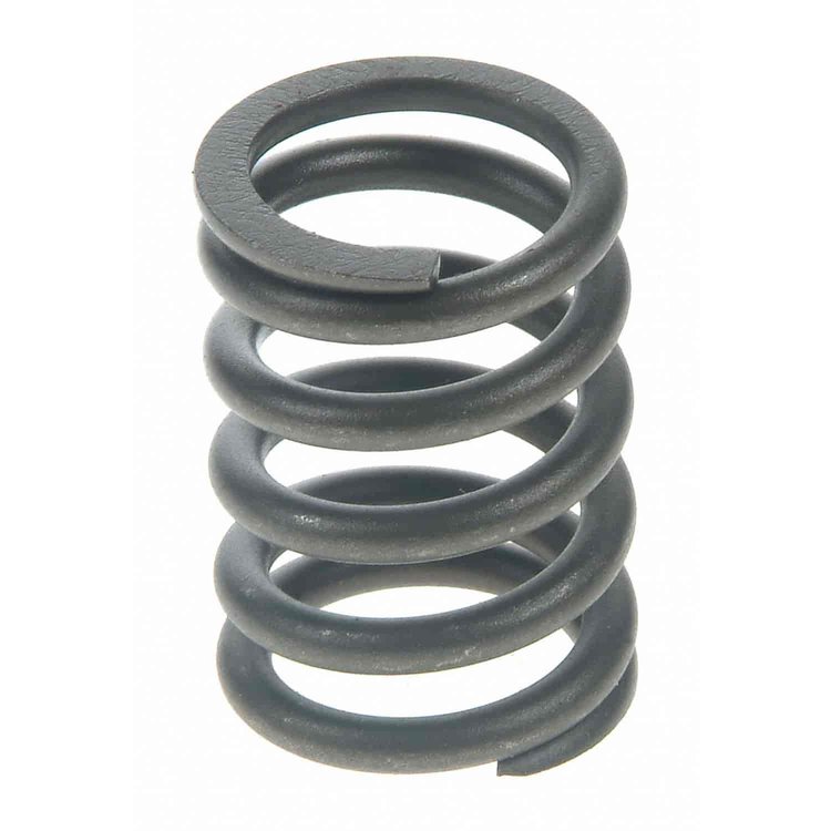 Valve Spring