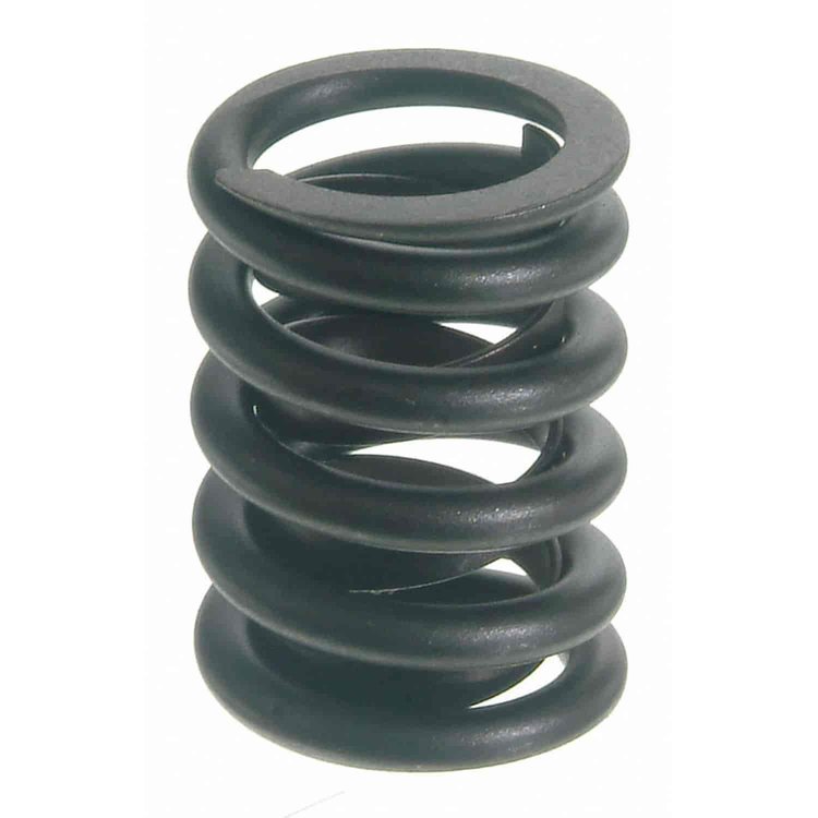 Valve Spring