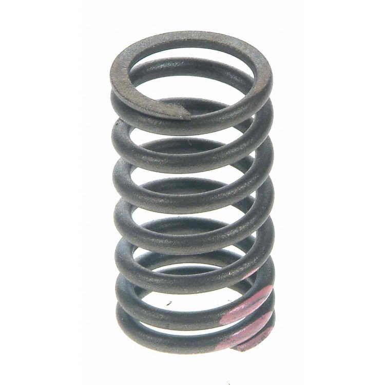 Valve Spring