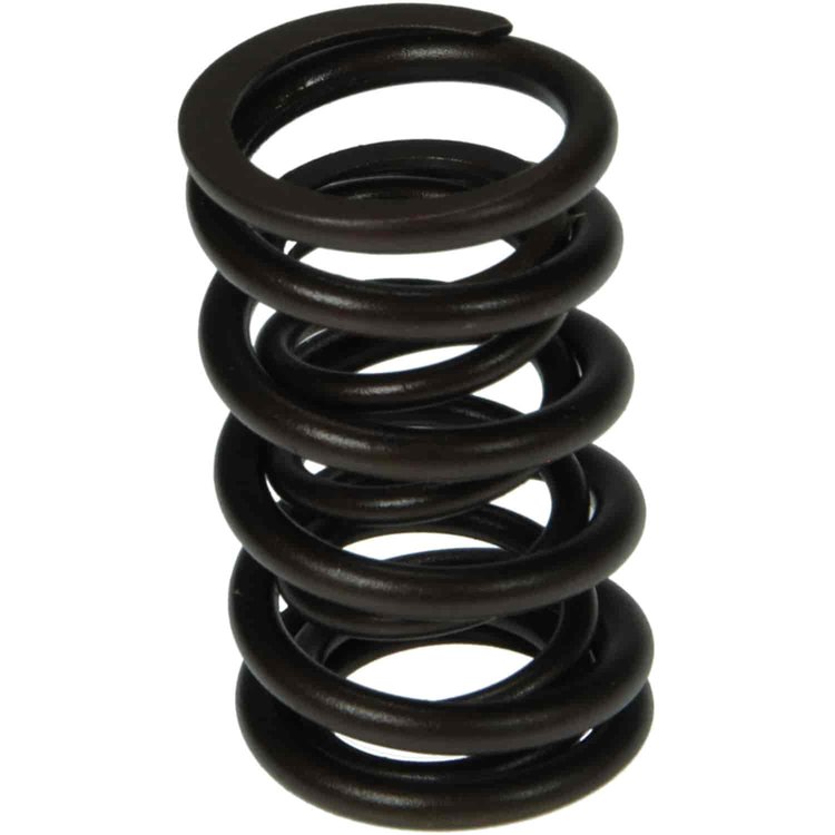 Valve Spring