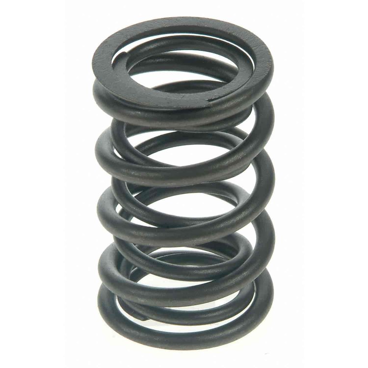 Valve Spring