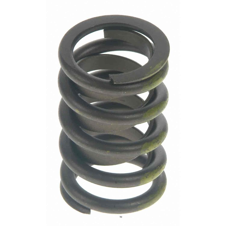 Valve Spring