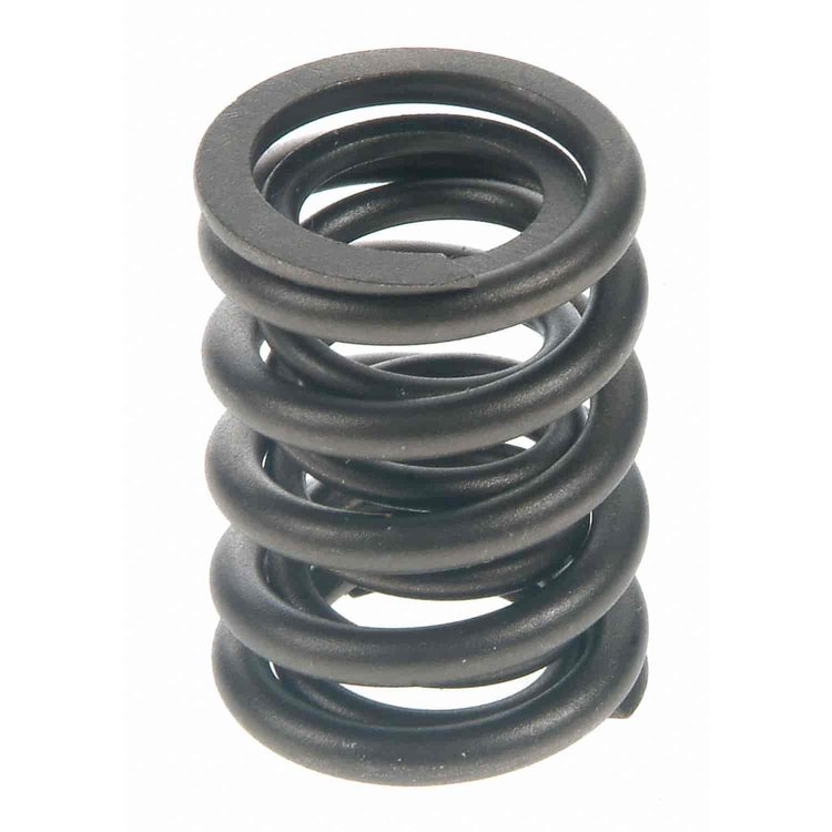 Valve Spring