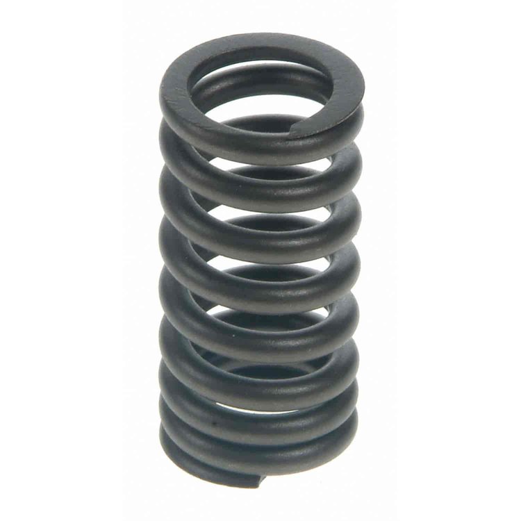 Valve Spring