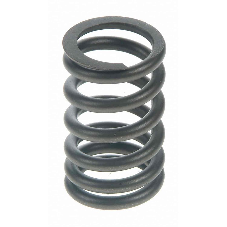 Valve Spring