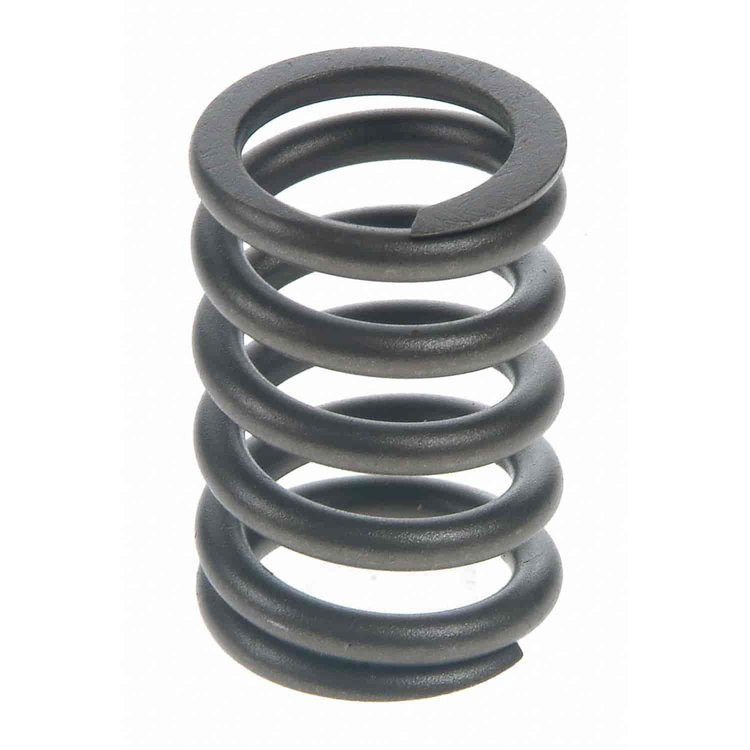 Valve Spring