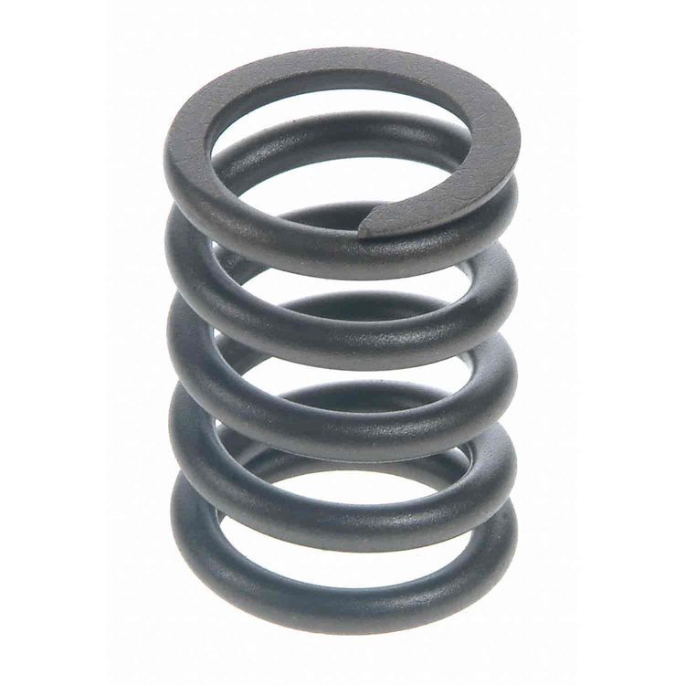 Valve Spring