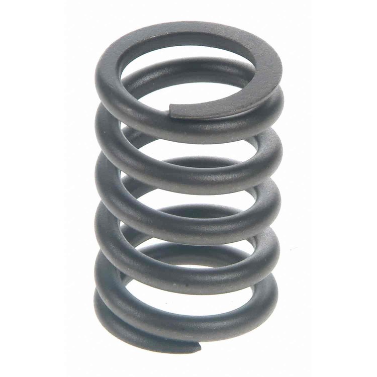 Valve Spring