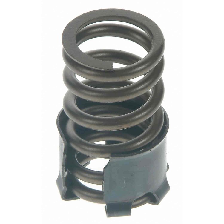 Valve Spring