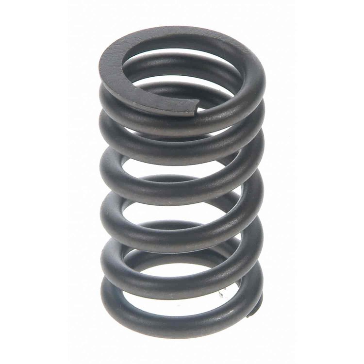 Valve Spring