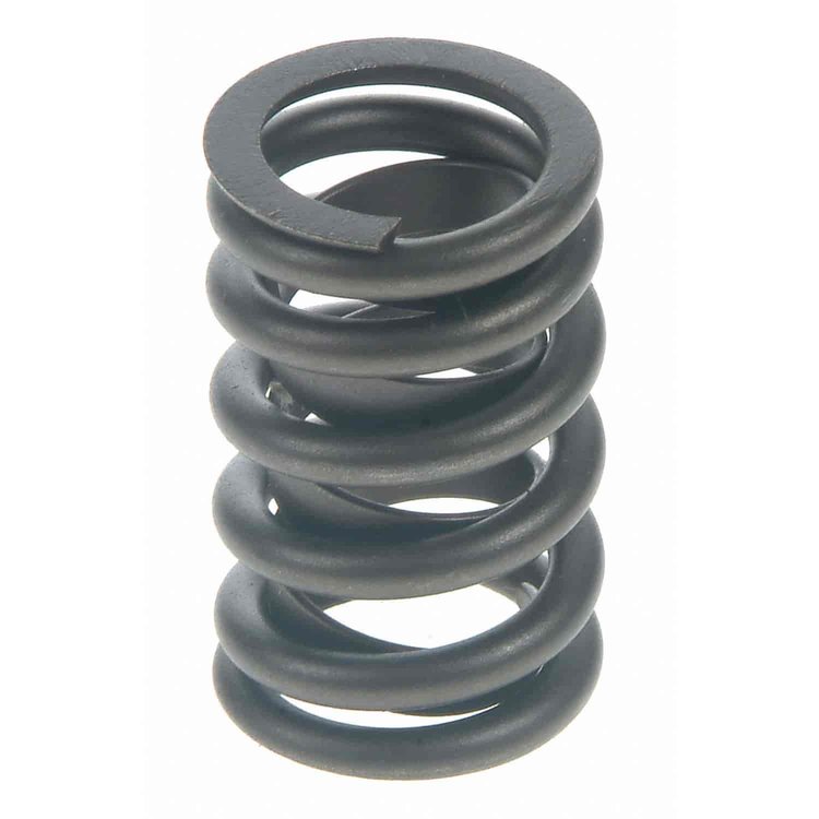 Valve Spring