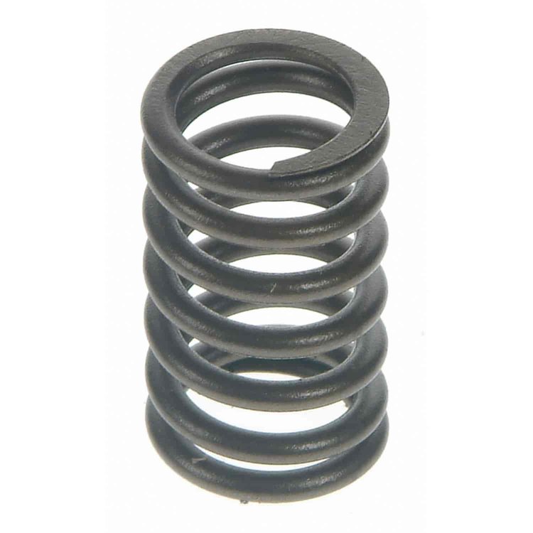 Valve Spring