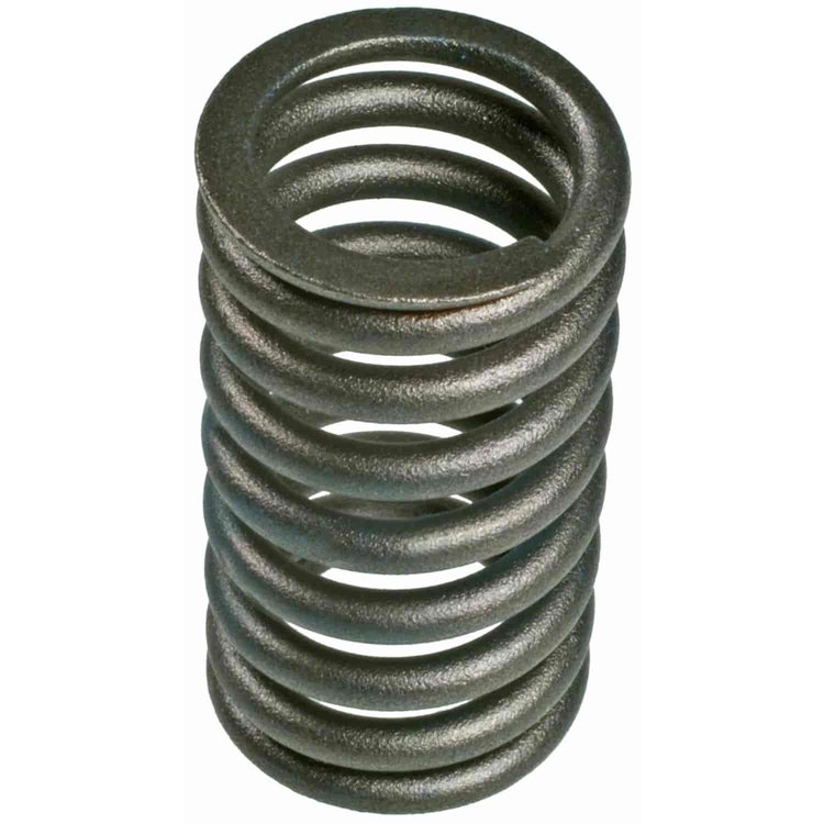 Valve Spring