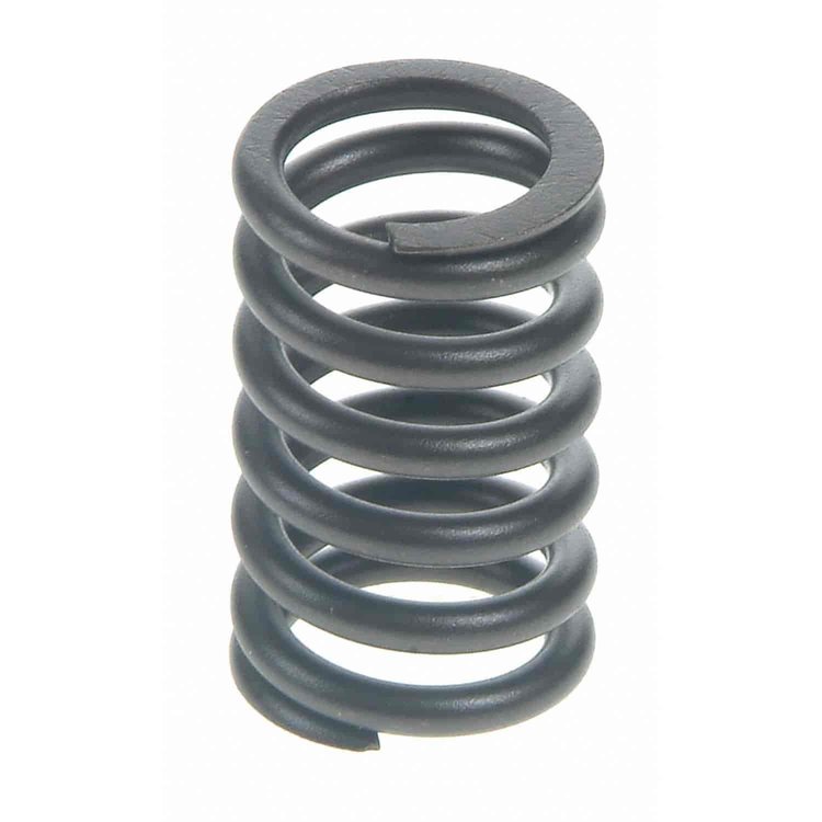 Valve Spring