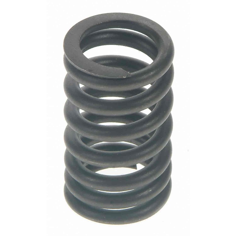 Valve Spring