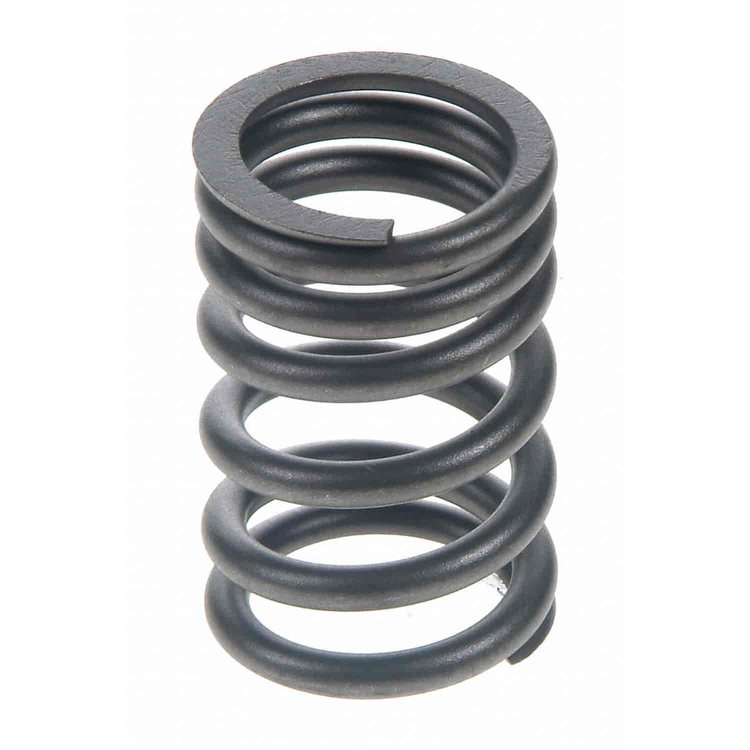Valve Spring