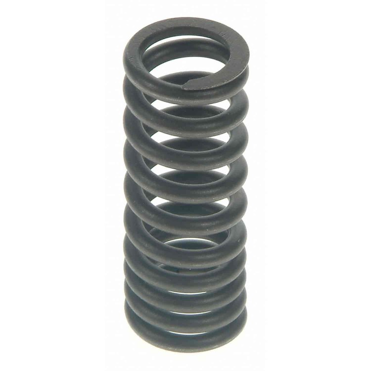 Valve Spring