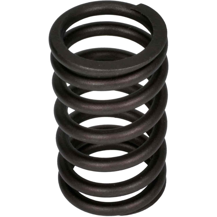 Valve Spring