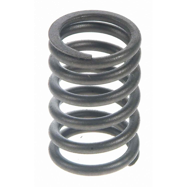 Valve Spring