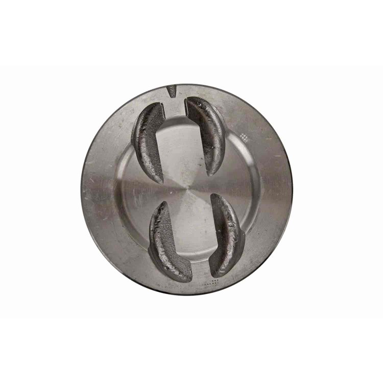 Cast Piston - Individual