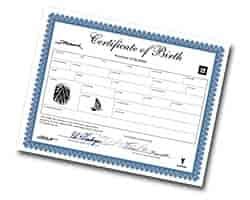 Birth Certificate 1993-02 Firehawk